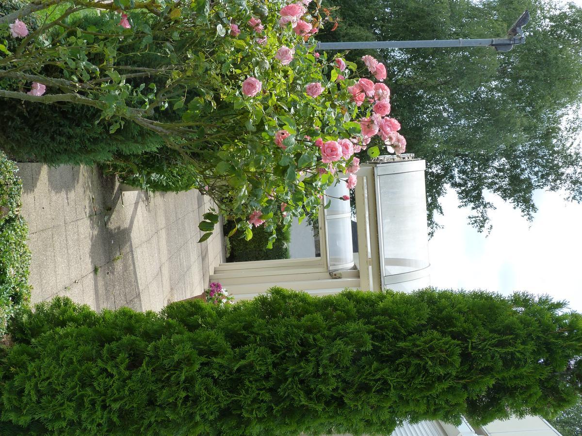 Hostellerie Du Chateau Saint-Pere-sur-Loire Екстер'єр фото